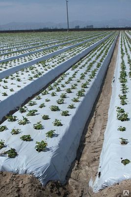 пленка для мульчирования черно-белая пленка